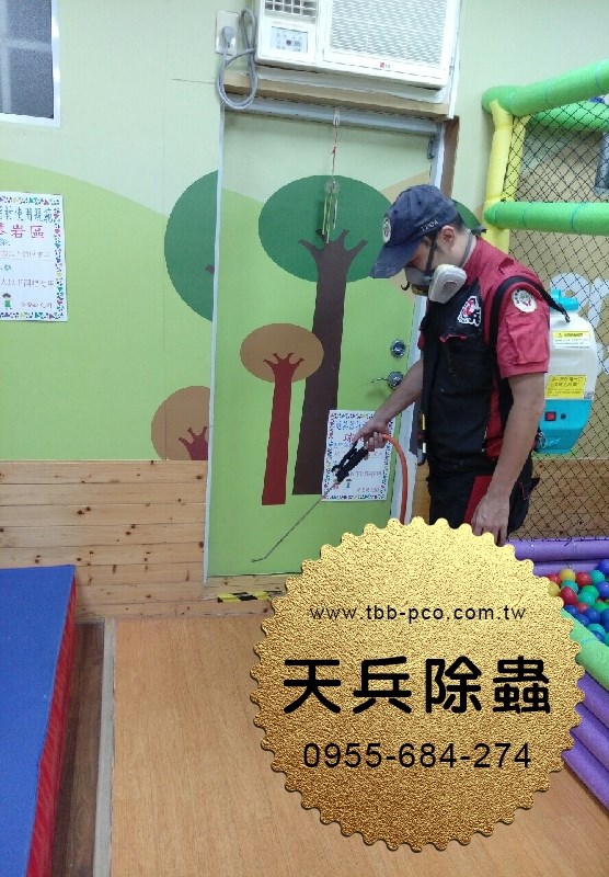 幼兒園消毒作業-天兵除白蟻滅白蟻殺白蟻除蟲公司台北台中 012